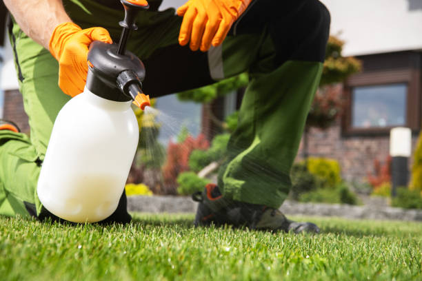 Professional Pest Control in Monticello, IN
