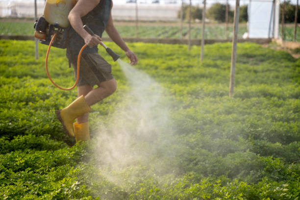 Best Local Pest Control Services  in Monticello, IN