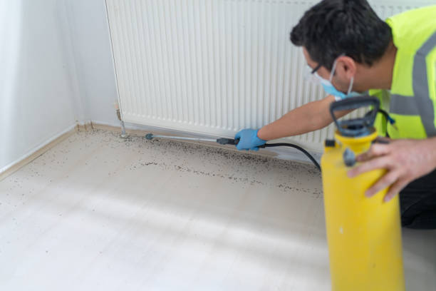 Best Affordable Pest Control Services  in Monticello, IN