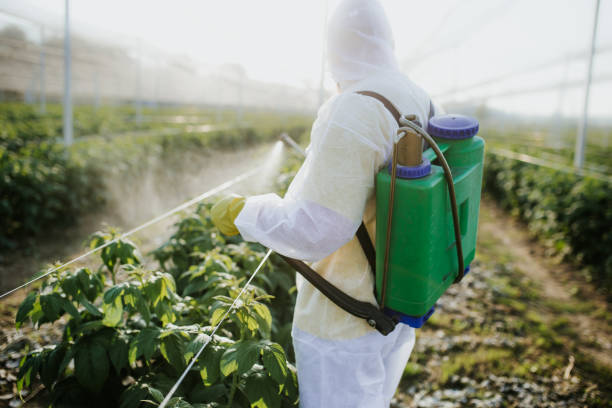 Best Pest Control for Homes  in Monticello, IN